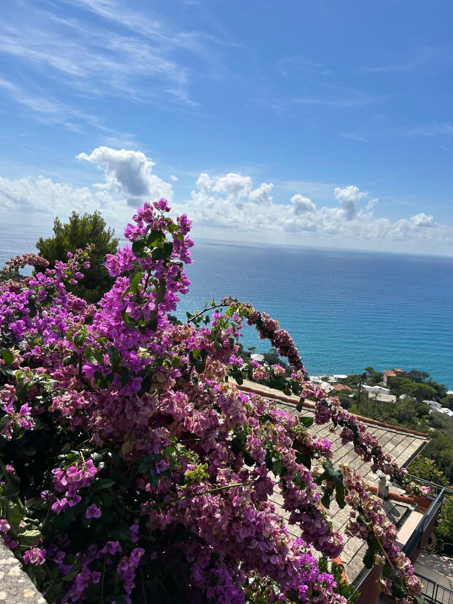 Beautiful Tigullio Apartment Lavagna Bagian luar foto